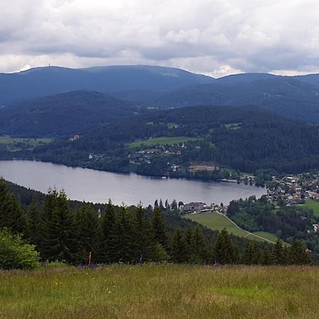 Ferienwohnung Friedolin Titisee-Neustadt Exterior foto